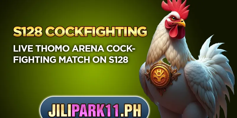 S128 Cockfighting – Top Choice for Cockfighting Fans 2 Live Thomo Arena cockfighting match on S128