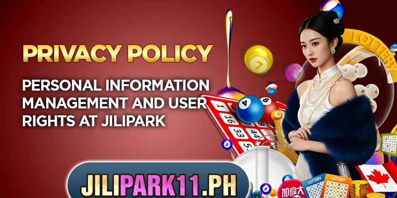 Privacy Policy – How Jilipark Protects Your Data 3 Personal information management and user rights at Jilipark