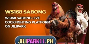 WS168 Sabong live cockfighting platform on JILIPark